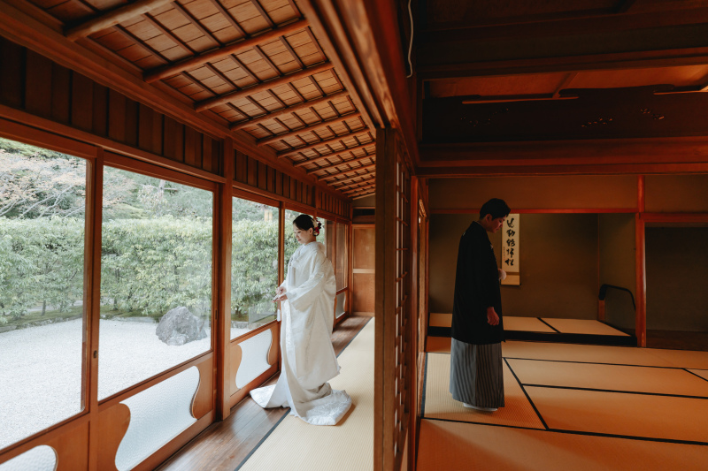庭園と桜