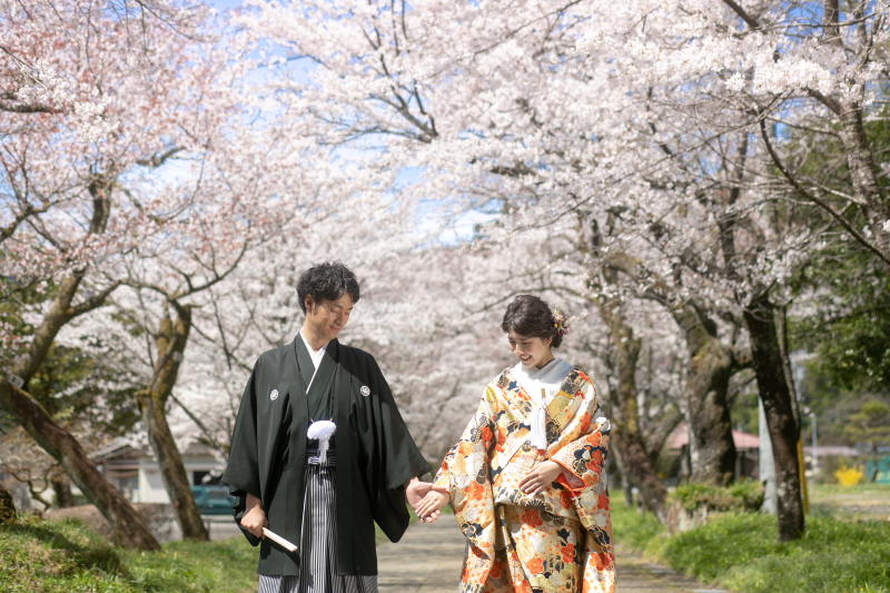 桜ロケ