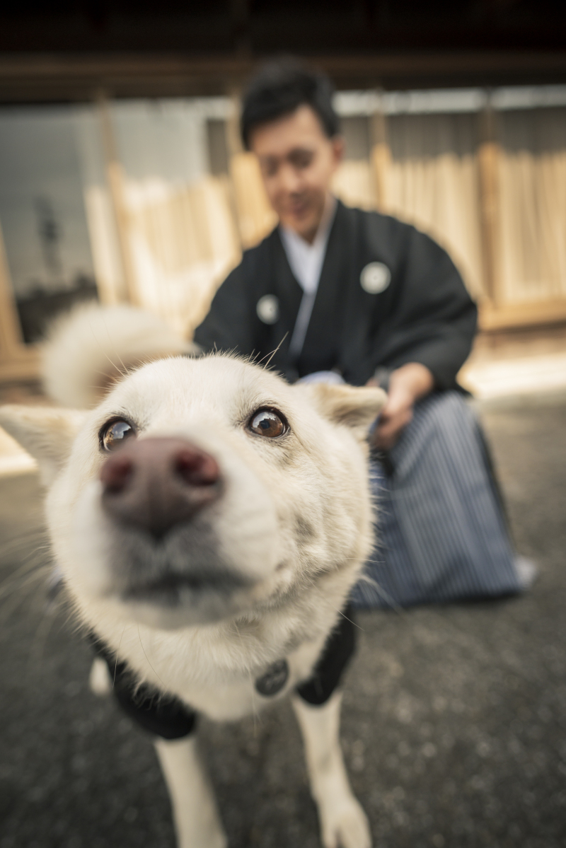 おばあちゃんにハレ姿を見せたくて①