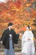 来る紅葉シーズン