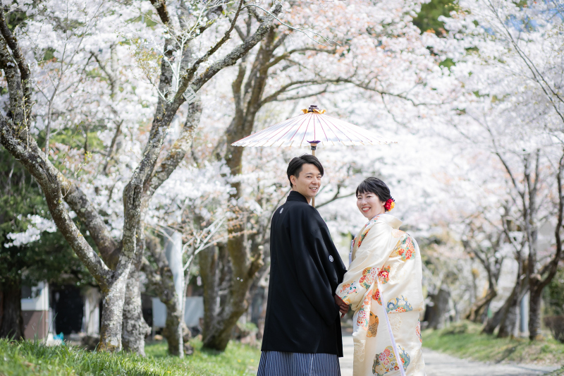 桜ロケ
