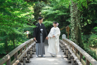 新緑の季節が始まります