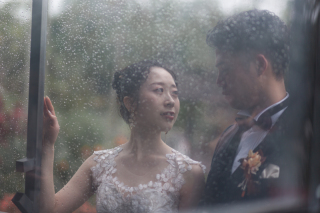 雨の東南植物楽園