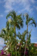 最近の沖縄の天気