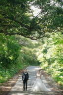 緑も豊かな宮古島