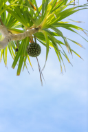 8月が過ぎ、9月がやってきます!