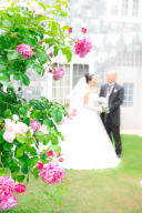 バラの咲くガーデンでフォトウェディング♪受付開始!