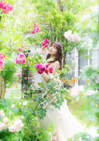 バラの咲くガーデンでのお得なプラン登場♡