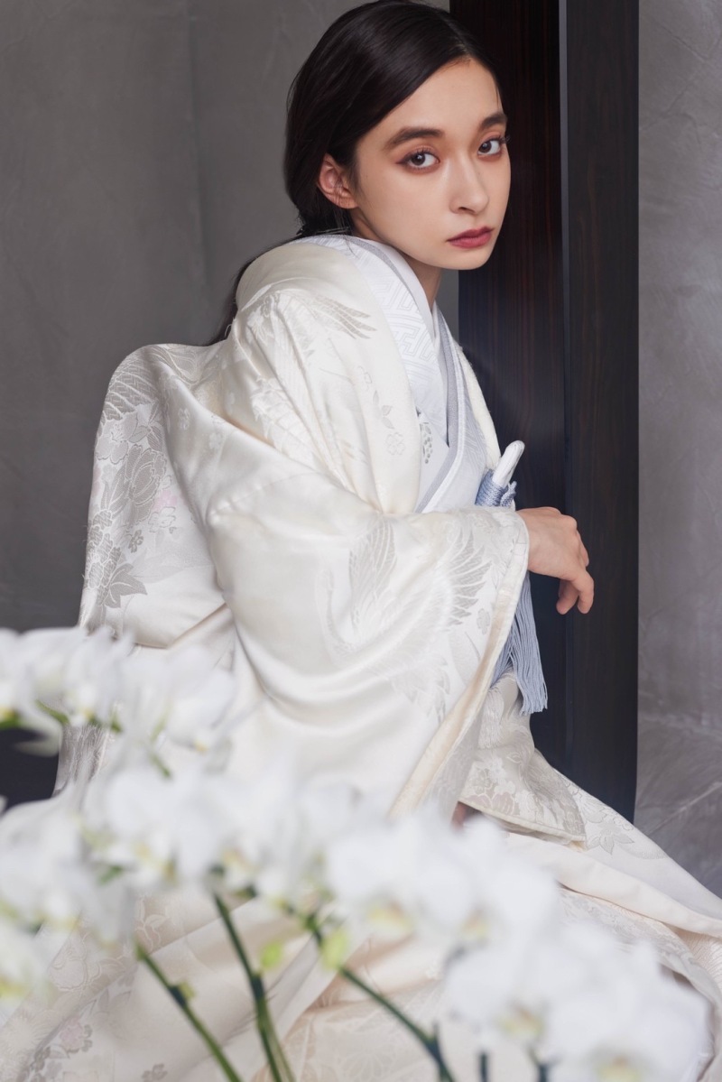 aim new visual “modern chic “