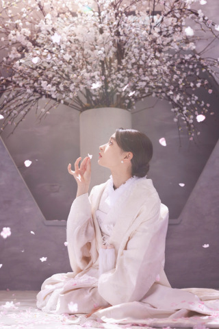 満開の桜の下で 純麗の白無垢で婚礼祝いのウェディングフォト