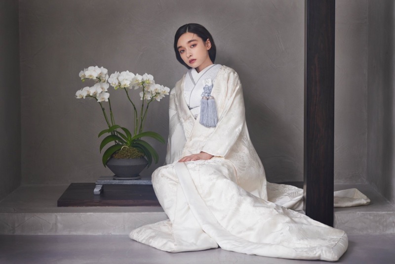 aim new visual “modern chic “