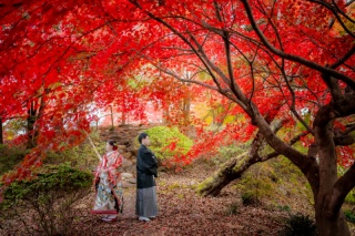 紅葉フォト