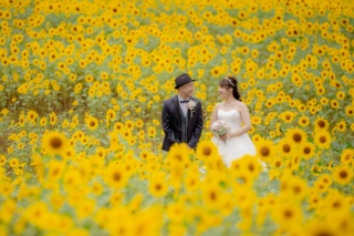 ひまわりフォト