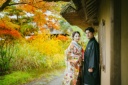 ひまわり・紅葉