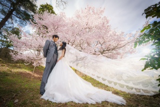 ４月・５月・６月撮影日について