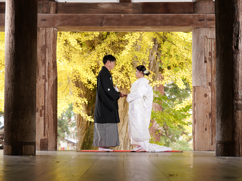 一年に一度だけ。喜多方・熊野神社「大イチョウ」でウェディングフォト