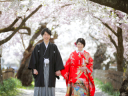 春の桜ロケーション ご予約開始!!