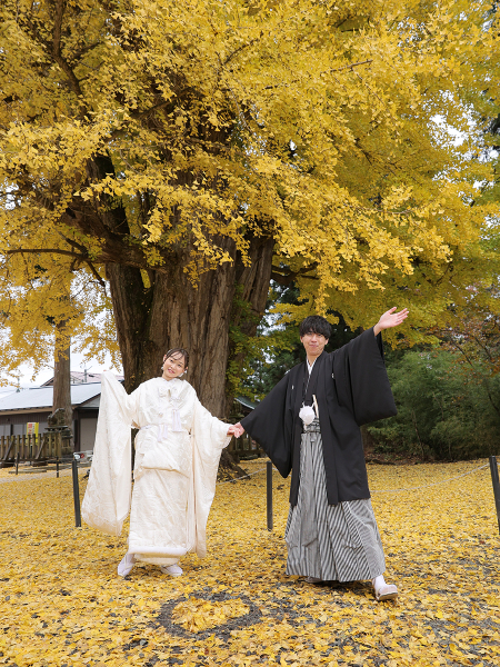 一年に一度だけ。喜多方・熊野神社「大イチョウ」でウェディングフォト
