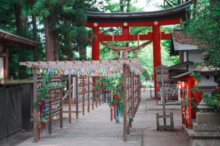 【夏限定】風鈴の音色に包まれて。伊佐須美神社で残す、会津の和装フォト
