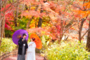 秋！紅葉ロケ イチ押しフォトスポット ｐａｒｔ01