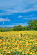 ひまわりロケーション予約受付開始♪