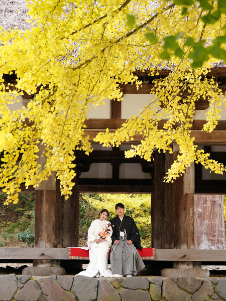 一年に一度だけ。喜多方・熊野神社「大イチョウ」でウェディングフォト