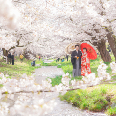 桜ロケーション イチ押しスポット　ｐａｒｔ０３