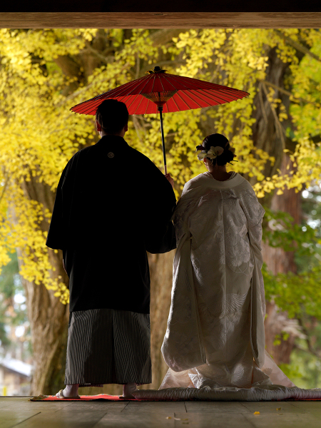 一年に一度だけ。喜多方・熊野神社「大イチョウ」でウェディングフォト