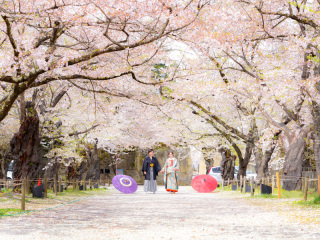 春が待ち遠しいです。