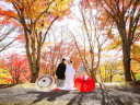 11月末まで、まだまだ間に合う紅葉ロケ♪