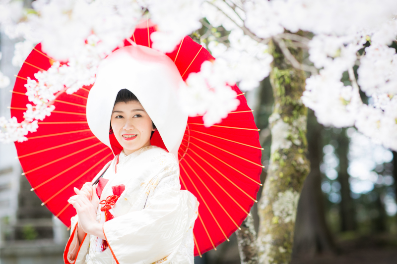 3月27日(水)限定10%OFF♡桜咲く庭園♡着物プラン