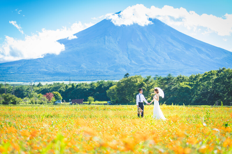 お花との撮影は11月まで楽しめます♡