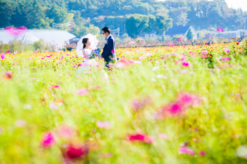 お花との撮影は11月まで楽しめます♡