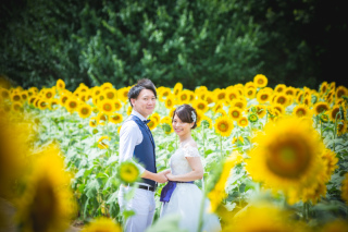 《期間限定価格》昭和記念公園 ひまわり畑で前撮りがお得！