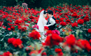 【5月の新キャンペーン】今だけのお得なご案内♪