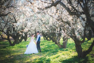 2〜3月は梅林ロケーションフォト♪