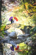 いよいよ秋ですね