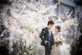 桜前撮りのおまかせプラン