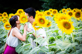 夏のエンゲージメントフォトフェア!!