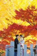 \お店で試着派?お家で相談派?フェア開催/