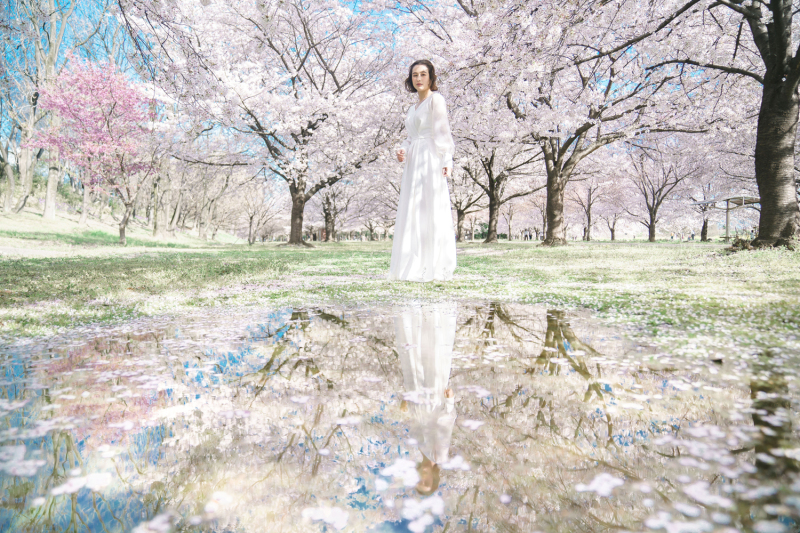 ウエディングフォトを桜の季節に撮る魅力とは