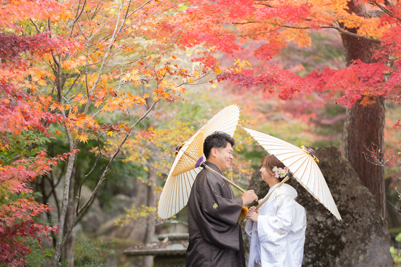 急いで！紅葉早割50％OFFキャンペーン