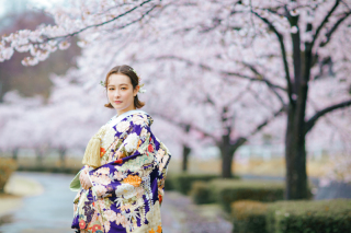 桜まであと1ヶ月?