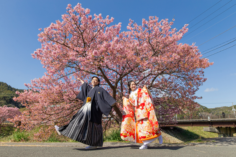 2月から早咲き!河津桜キャンペーン@伊豆