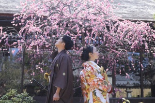 早期予約でお得な梅・桜ロケーション