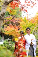 當麻寺の紅葉状況　（11月22日現在）紅葉撮影枠残り僅か！