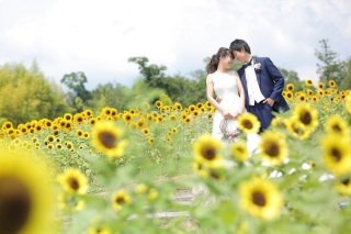 令和初の夏!~ひまわりフォト残しませんか??~