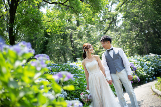 紫陽花フォトのチャンス