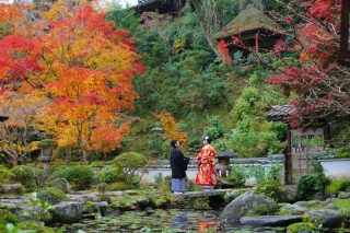 秋の特別枠発表!