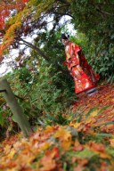 紅葉ロケーション相談会受付中!(週末開催)